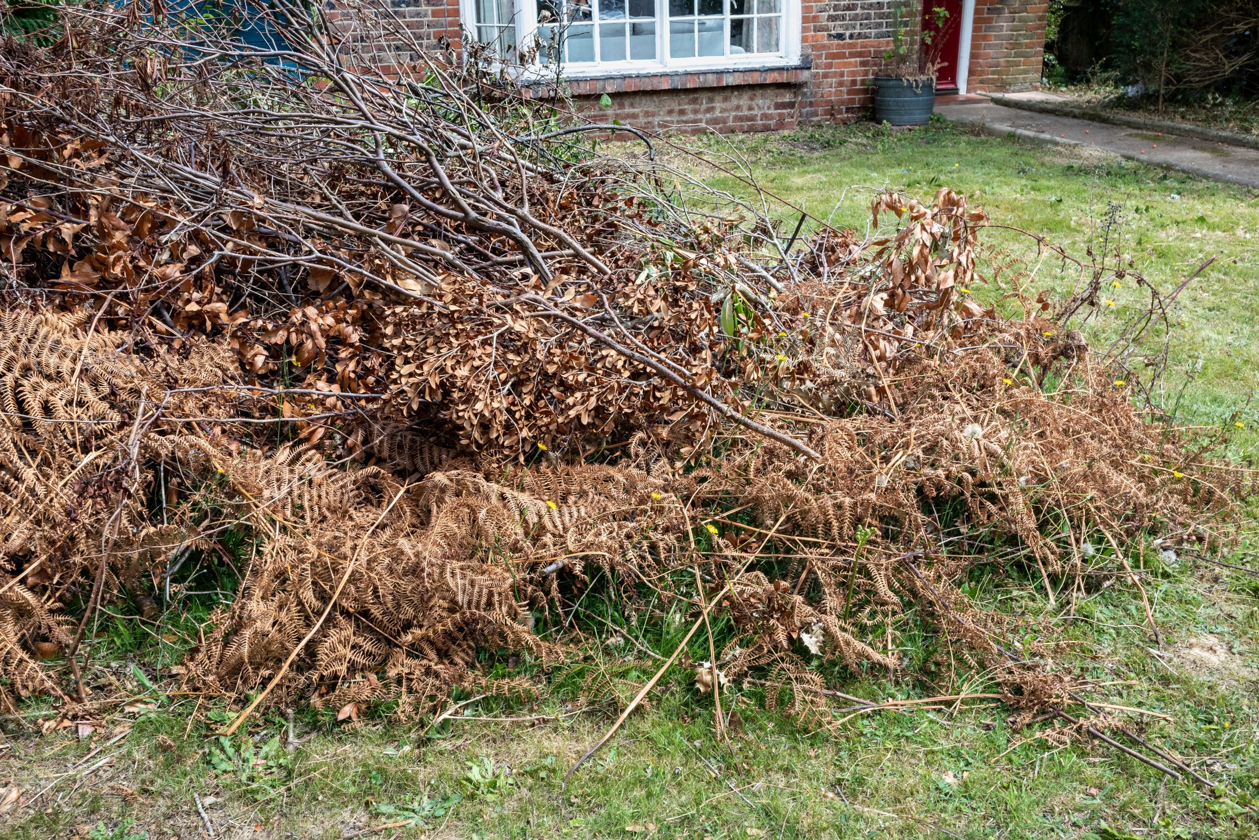 Garden Green Waste Removal Ashtead KT21